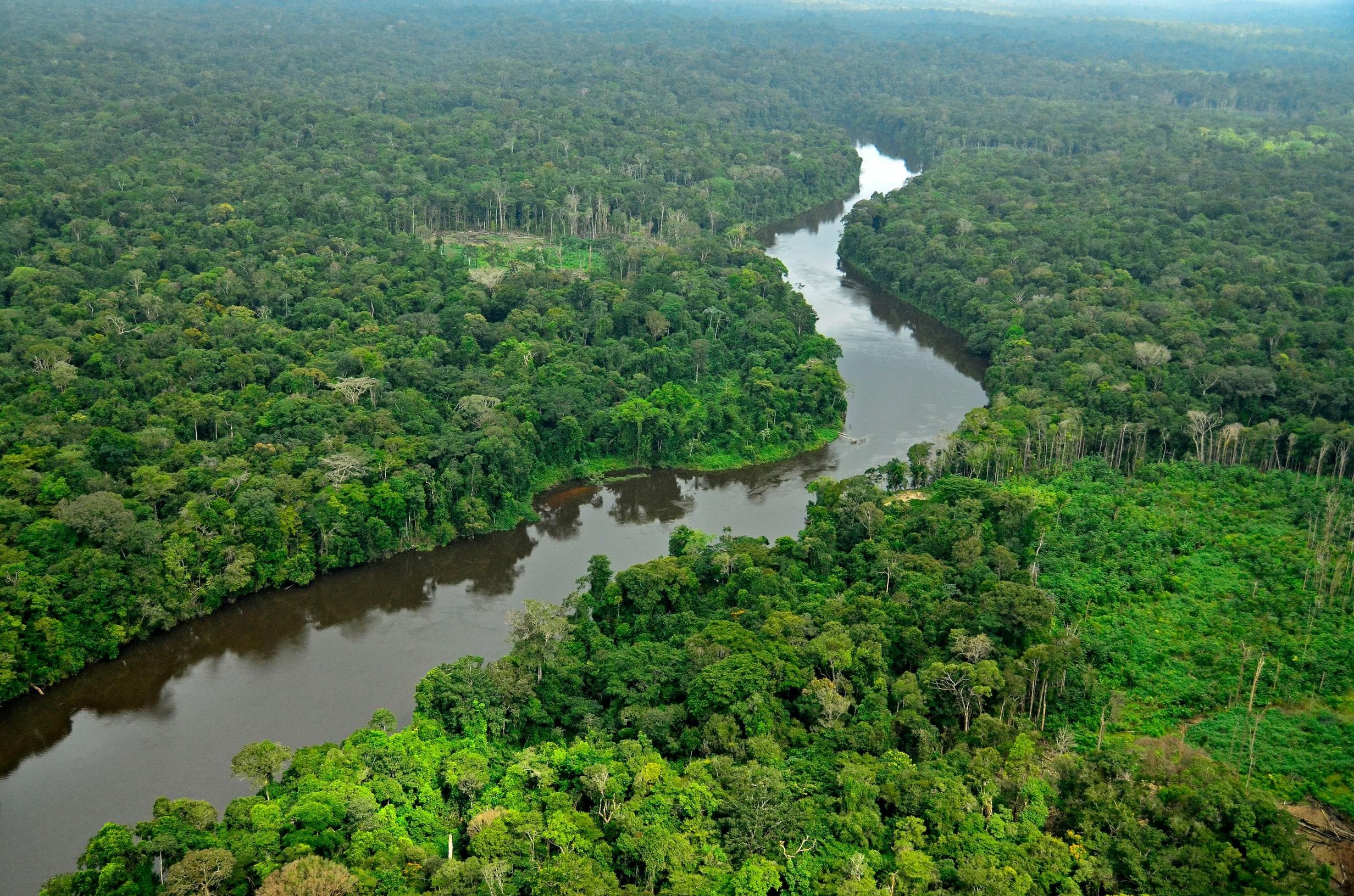 Aerial view of a winding river cutting through a dense, lush green tropical rainforest canopy.