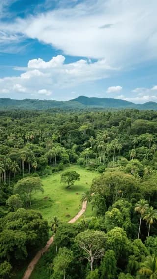 Business Travel in Trindade, Sao Tome and Principe: A