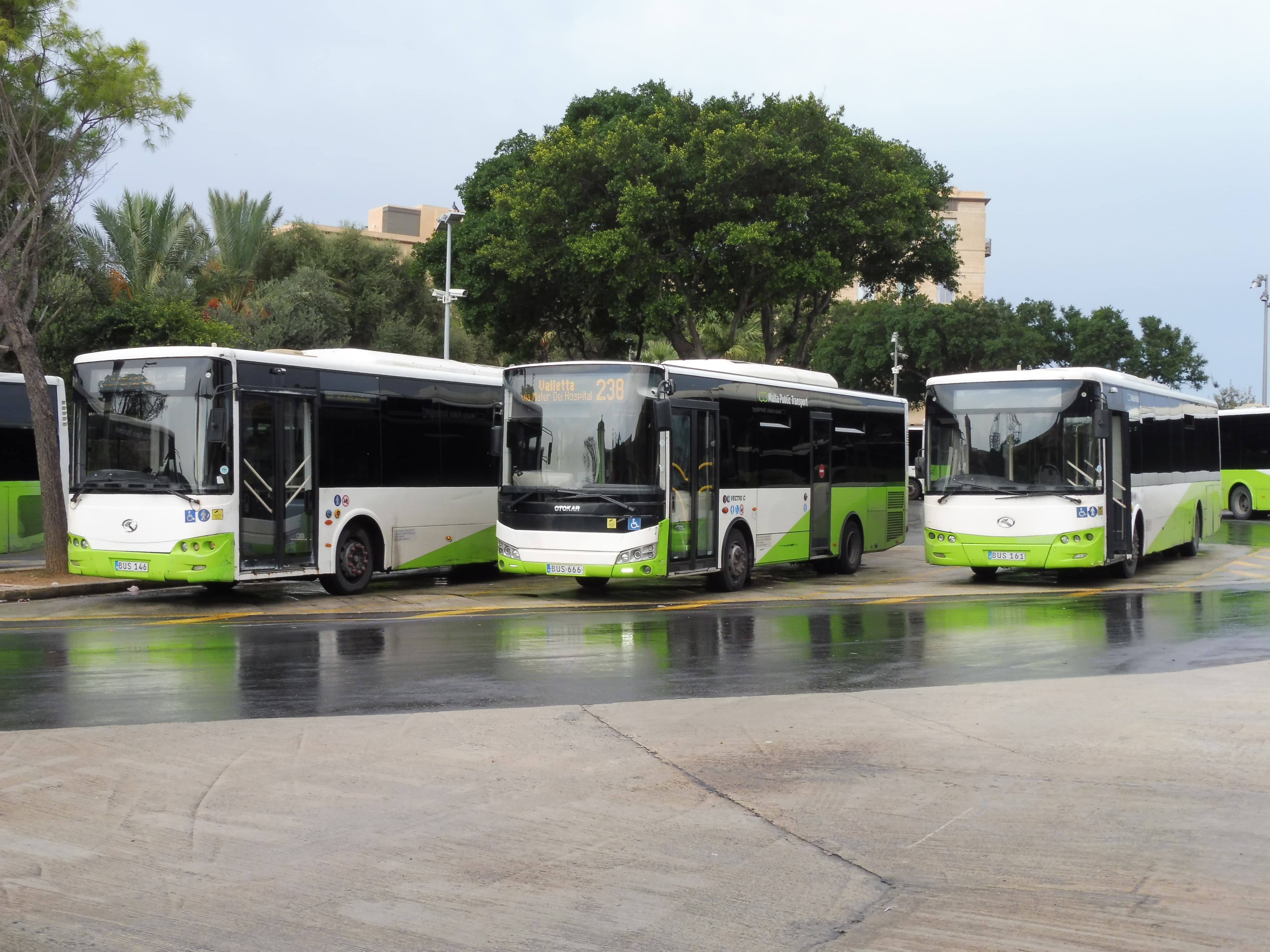 Yellow and green Malta Public Transport buses parked at a bus stop