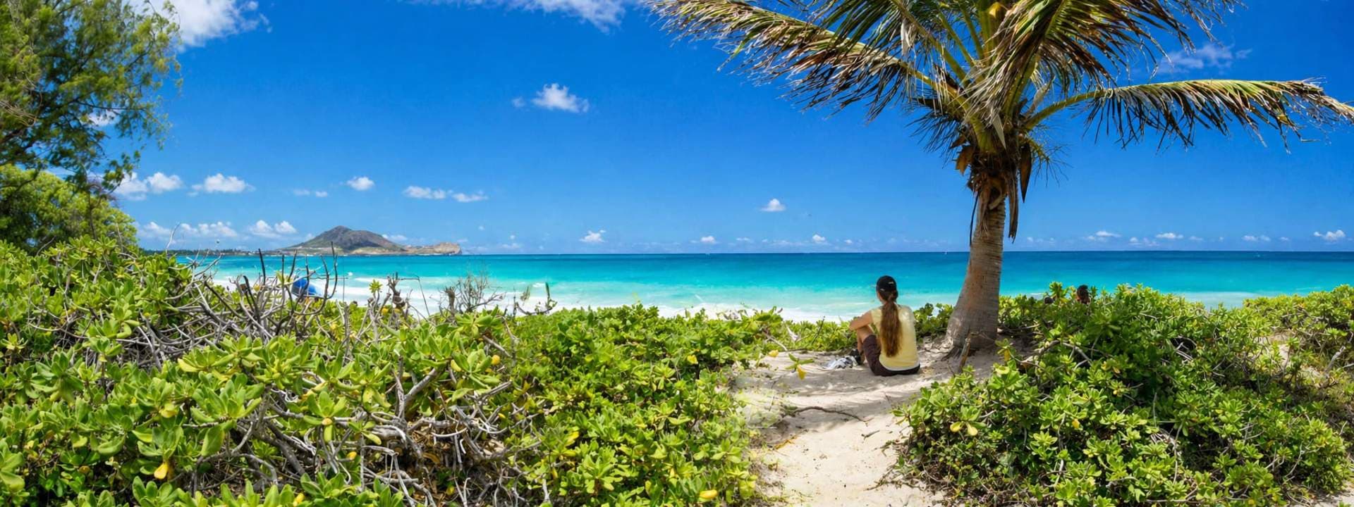 Tropical beach scene with turquoise water, white sand, a palm tree, and a seated person facing the ocean.