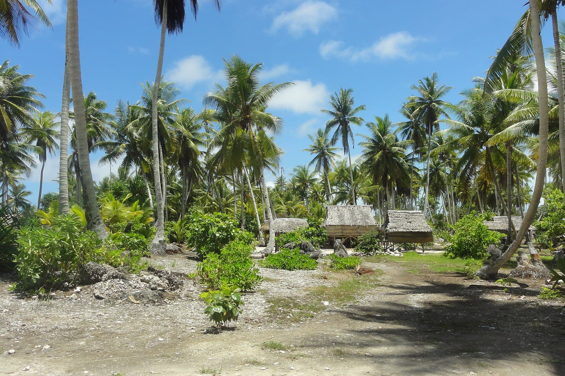 Landscape, Kiribati, 2011. Photo- Erin Magee - DFAT (12425893525).jpg