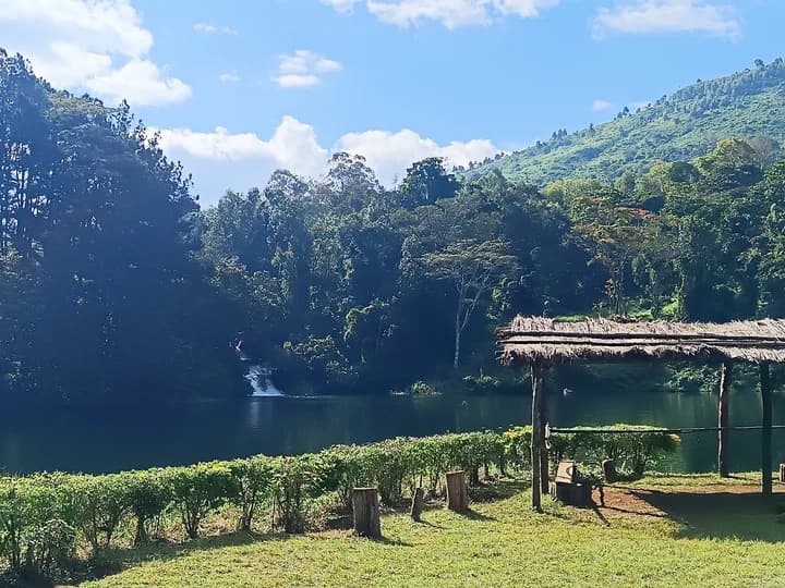 A thatched-roof lodge structure sits on a grassy bank beside a calm river, with dense forest and hills in the background under a partly cloudy sky.