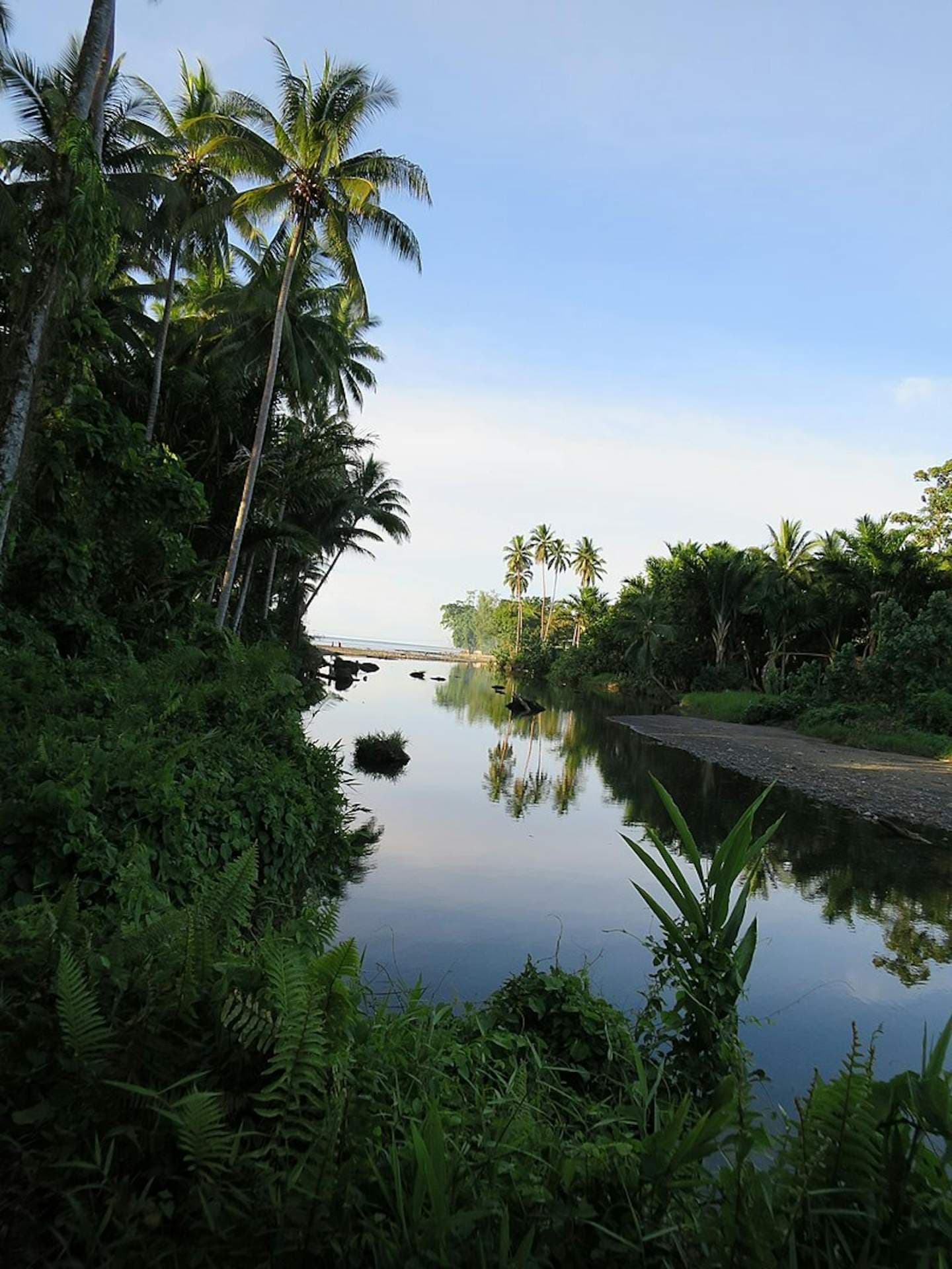 Tropical waterway flanked by dense green vegetation and tall coconut palms under a clear blue sky, representative of rainforest habitats near Kirakira, Makira.