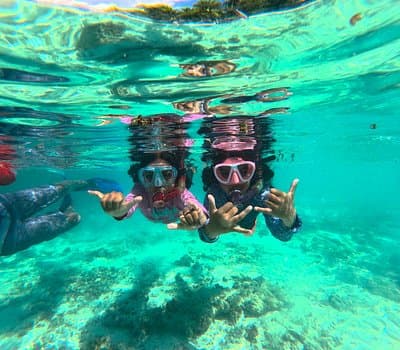 Coral reef and marine life in clear waters near Veymandoo, Maldives during spring