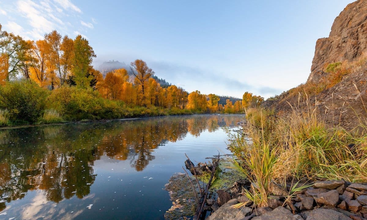 Autumn river shoreline with golden trees, calm reflective water, rocky bank, and misty hills in the background.