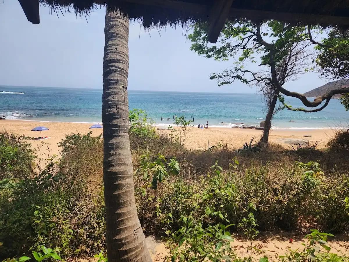 A view of a sandy beach and blue ocean near Dubréka, framed by a palm tree trunk and thatched roof in the foreground.