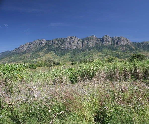 Zomba, Malawi: A Spring Audit of the Plateau