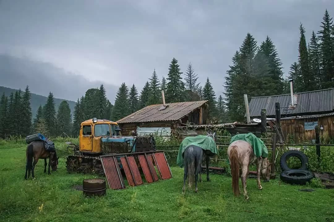 Rural Kazakh village scene with modest wooden buildings, horses, and an old yellow tractor in a grassy open area.
