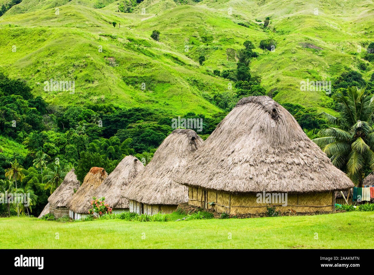 Village of traditional Fijian bure huts with thatched roofs in the highlands of Lomaiviti Province