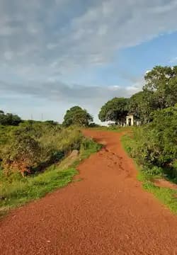 Cycling Tours in Tougue Prefecture, Guinea