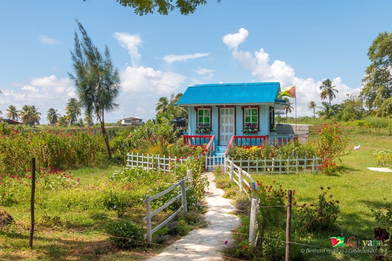 Hiking the Tides: Trails in Mahaicony, Guyana