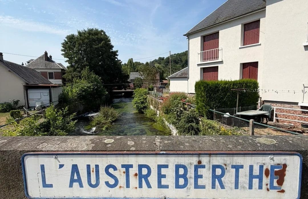 Small French village street with a stream, greenery, and residential buildings.