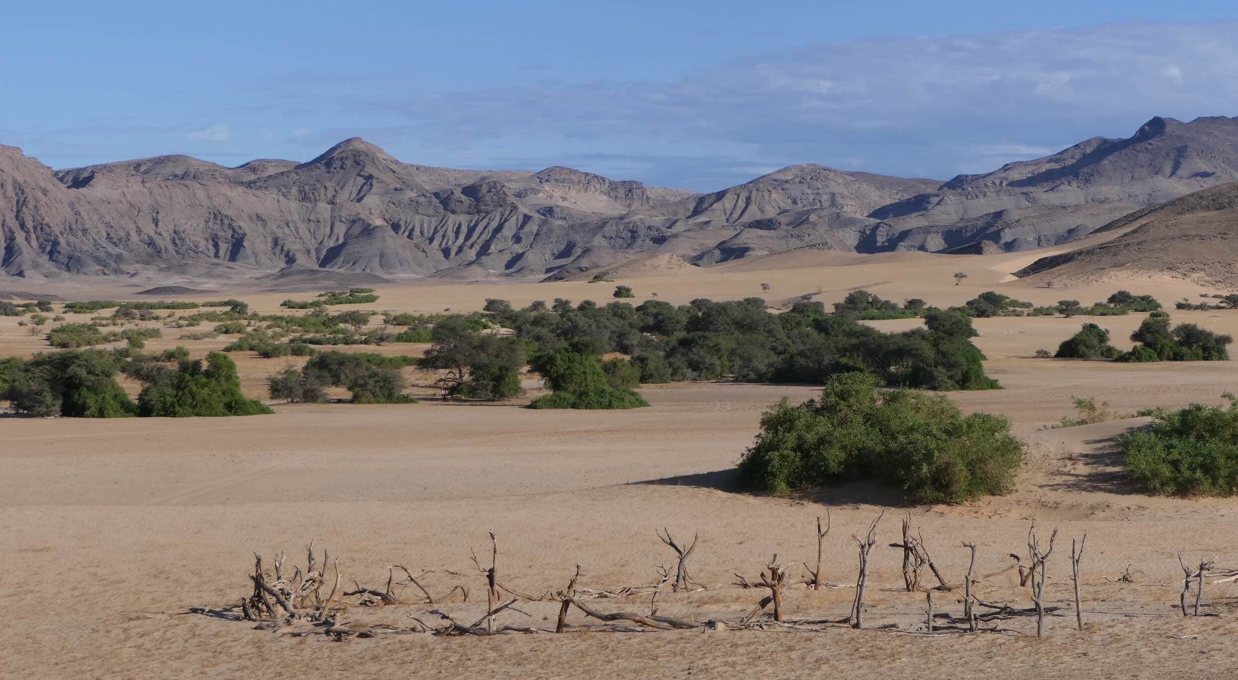 Where to Stay in Opuwo, Namibia