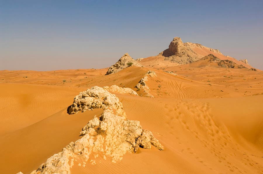 Travel Insurance Tips for Milehah, UAE