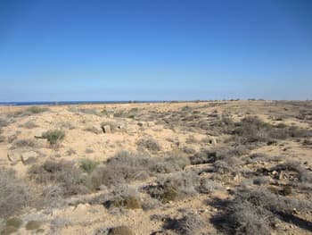 A wide shot of a dry, scrub-covered coastal landscape with sandy terrain in the foreground and a blue sea horizon under a clear sky.