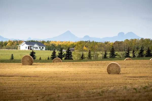 Autumn agricultural plain with round hay bales, a white farmhouse, evergreens, and distant mountains under a clear sky.