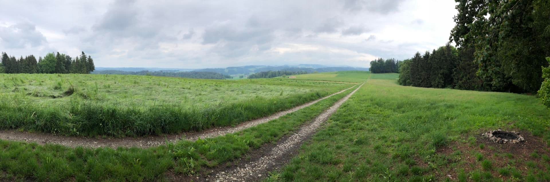 Wolfwil, Switzerland: The Low-Cost Rural Alternative