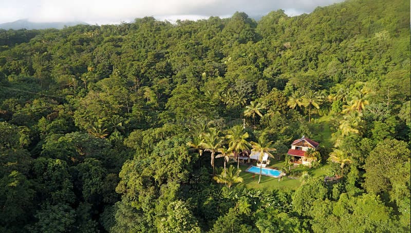 Village street scene in Mahaut, Dominica, with tropical vegetation and local buildings