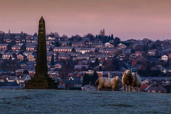 The Hoo Hill Obelisk stands prominently in the foreground with sheep grazing nearby, overlooking a residential hillside town under a dusky sky.
