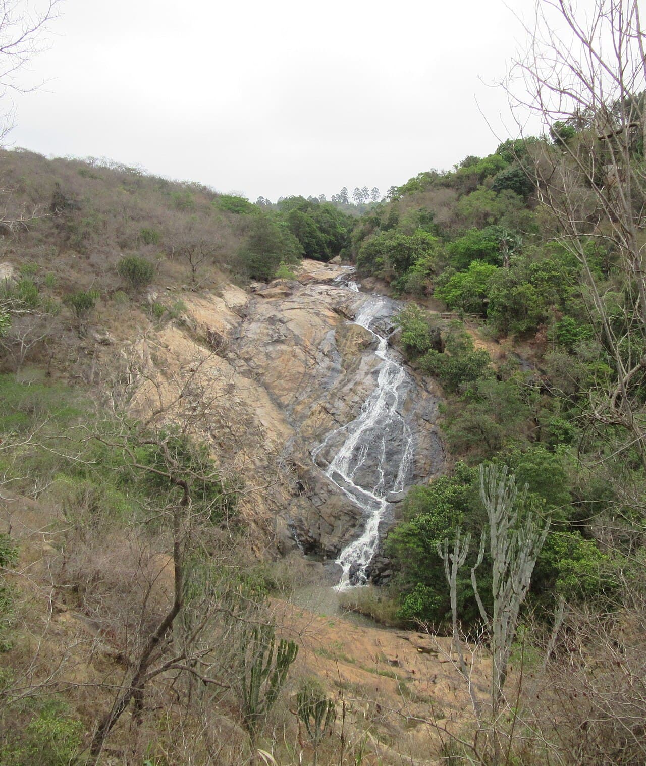 Theme Parks in Piggs Peak: The Reality of Eswatini