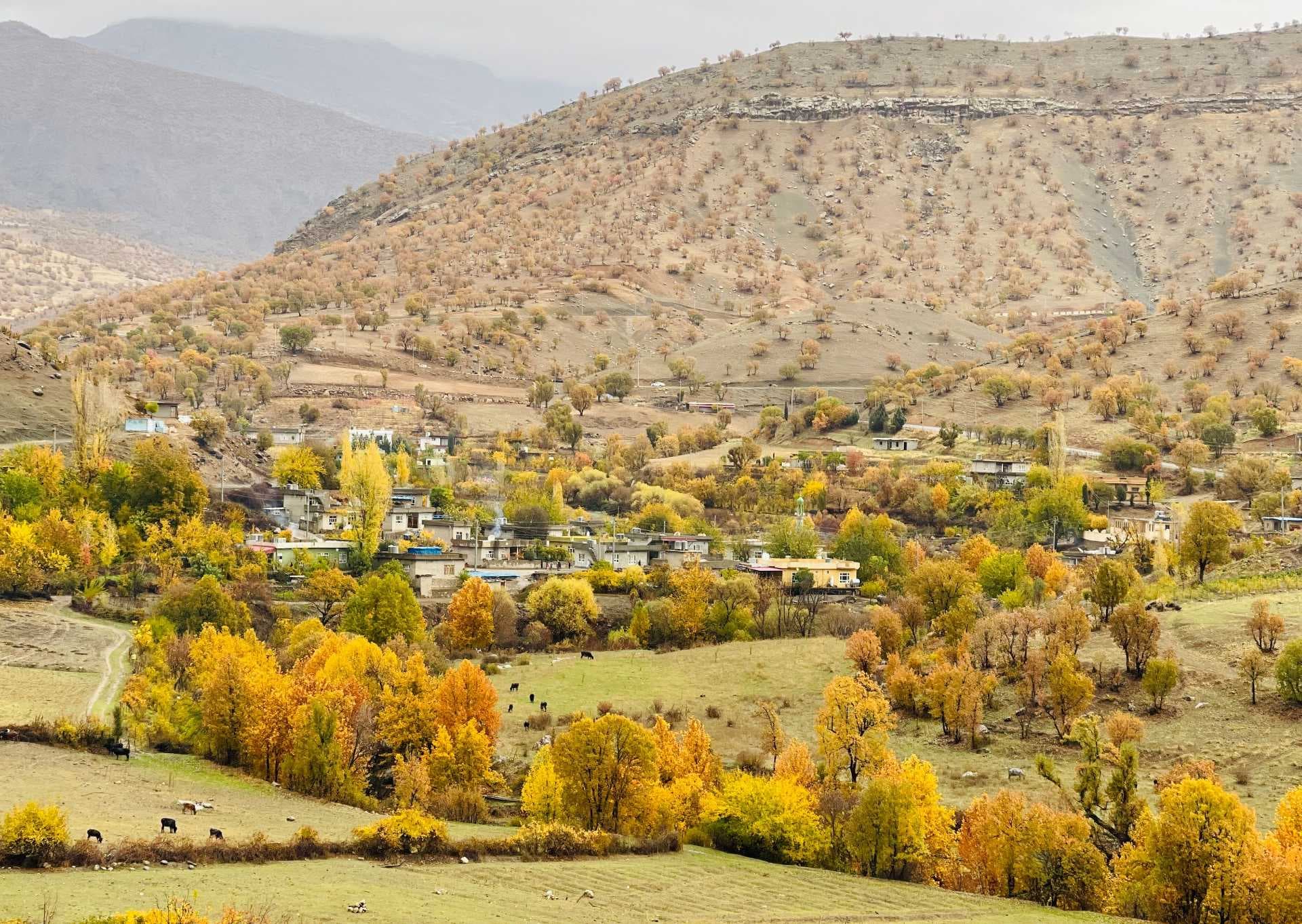 Mountain valley village with autumn foliage, grazing livestock, and overcast light.