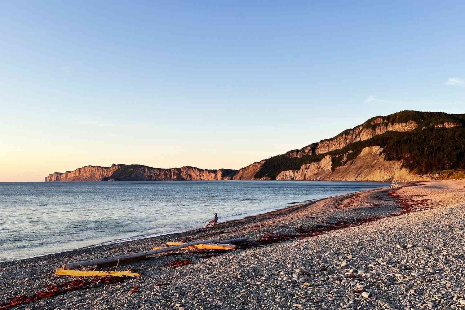 Street Food in Luceville, Canada: A Guide to Coastal Dining