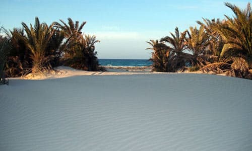 Sand dunes and beach landscape on the Mediterranean coast near Zuwārah, Libya
