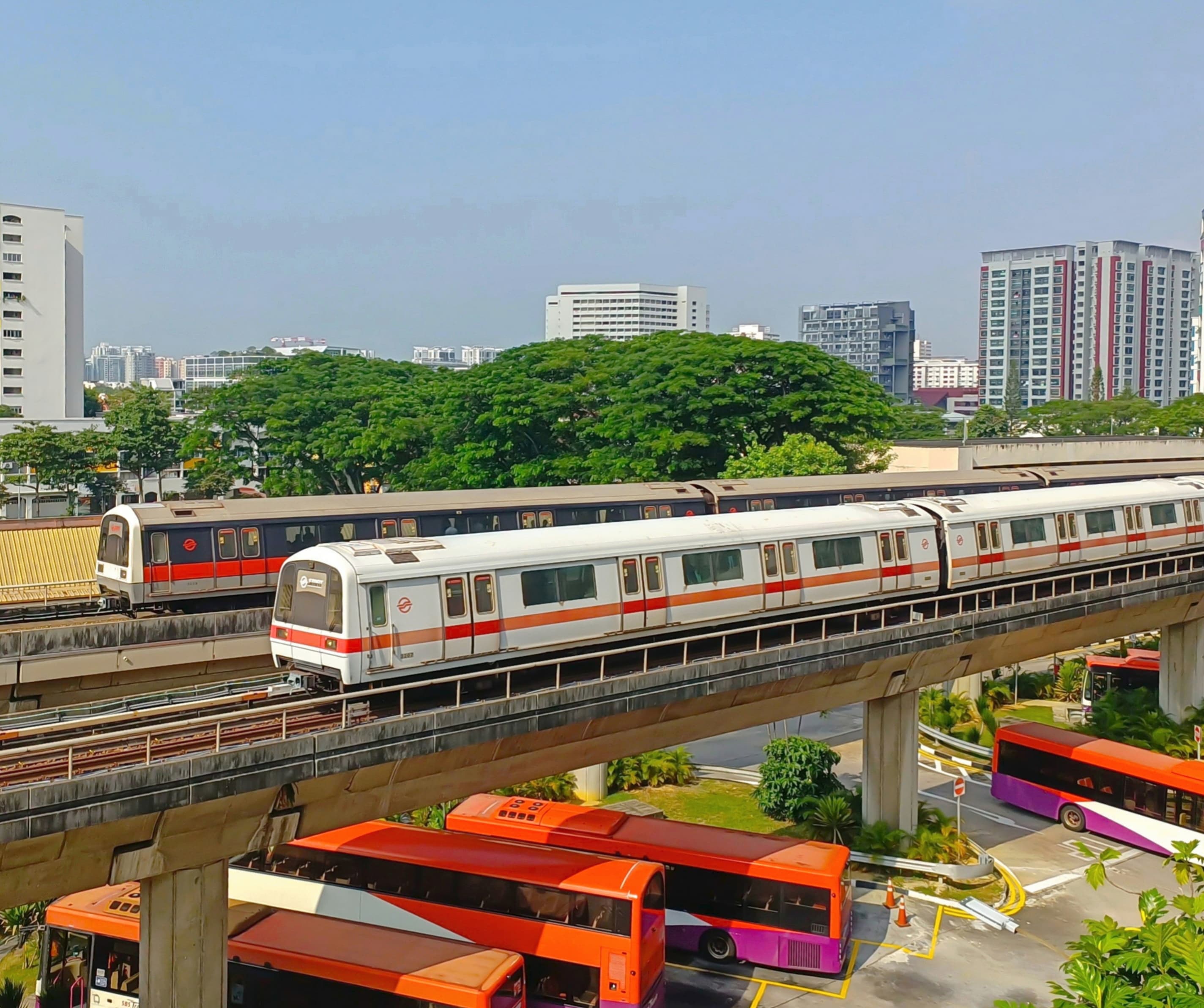 Your Singapore Survival Guide: How to Eat, Explore, and Not