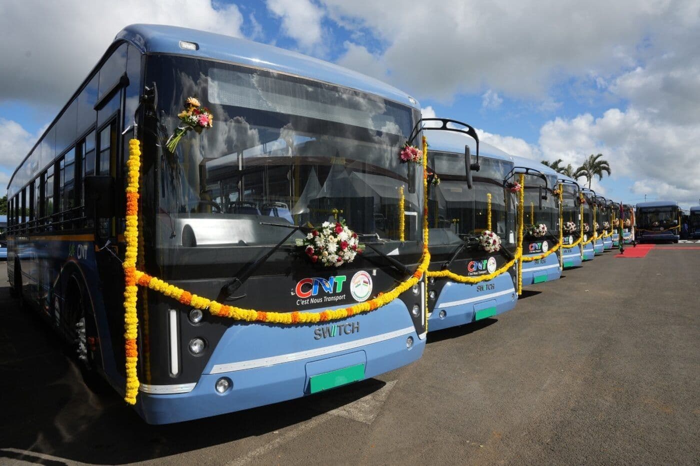 A fleet of blue Mauritius CNT buses decorated with marigold garlands parked in a row during a launch ceremony.