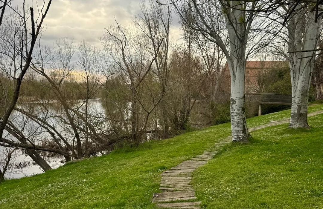Kids Friendly Accommodation in Gamonal, Spain: Spring