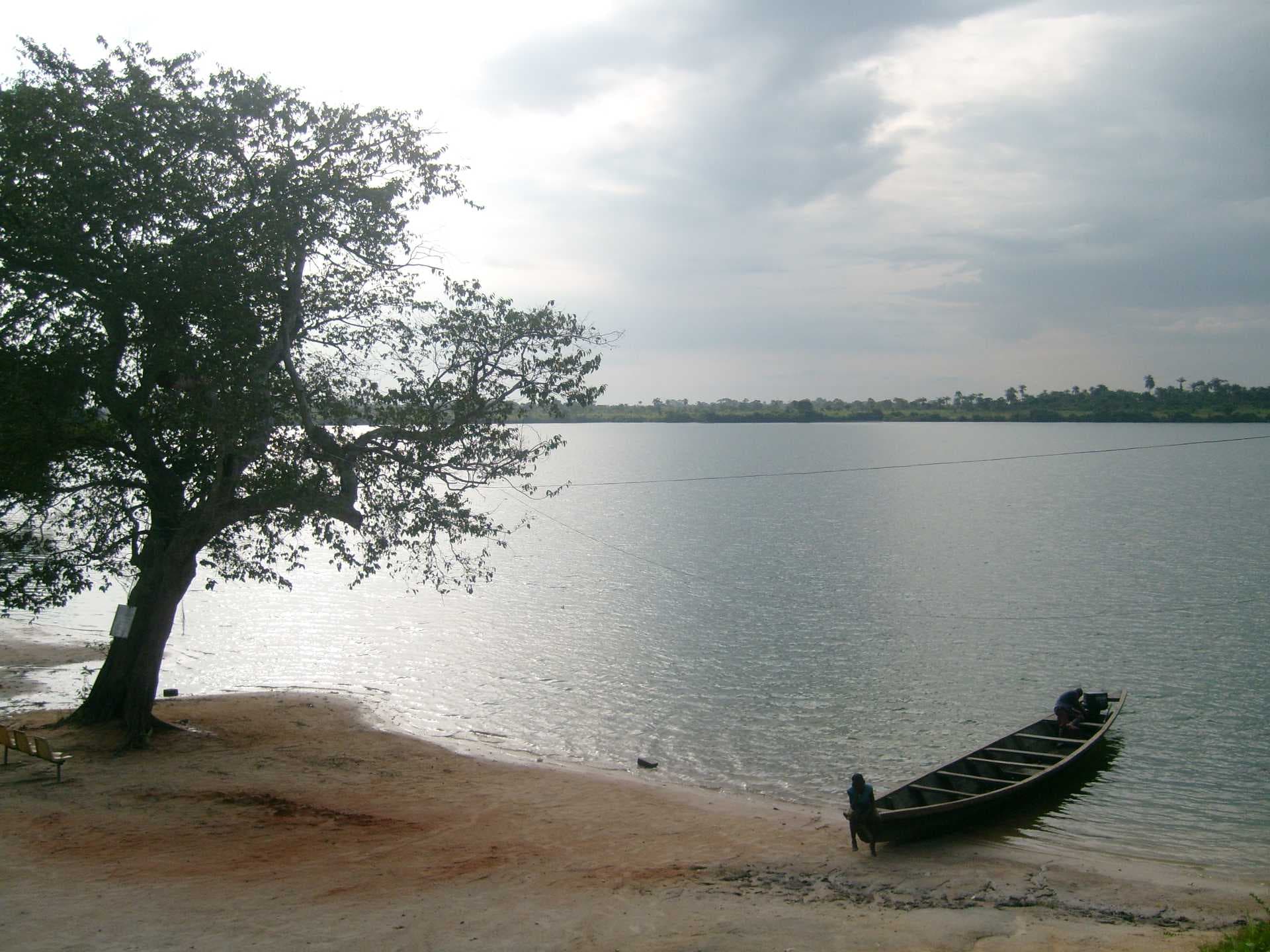A traditional wooden canoe rests on a sandy shore beside a large lake, framed by a tree and distant vegetation under a cloudy sky.