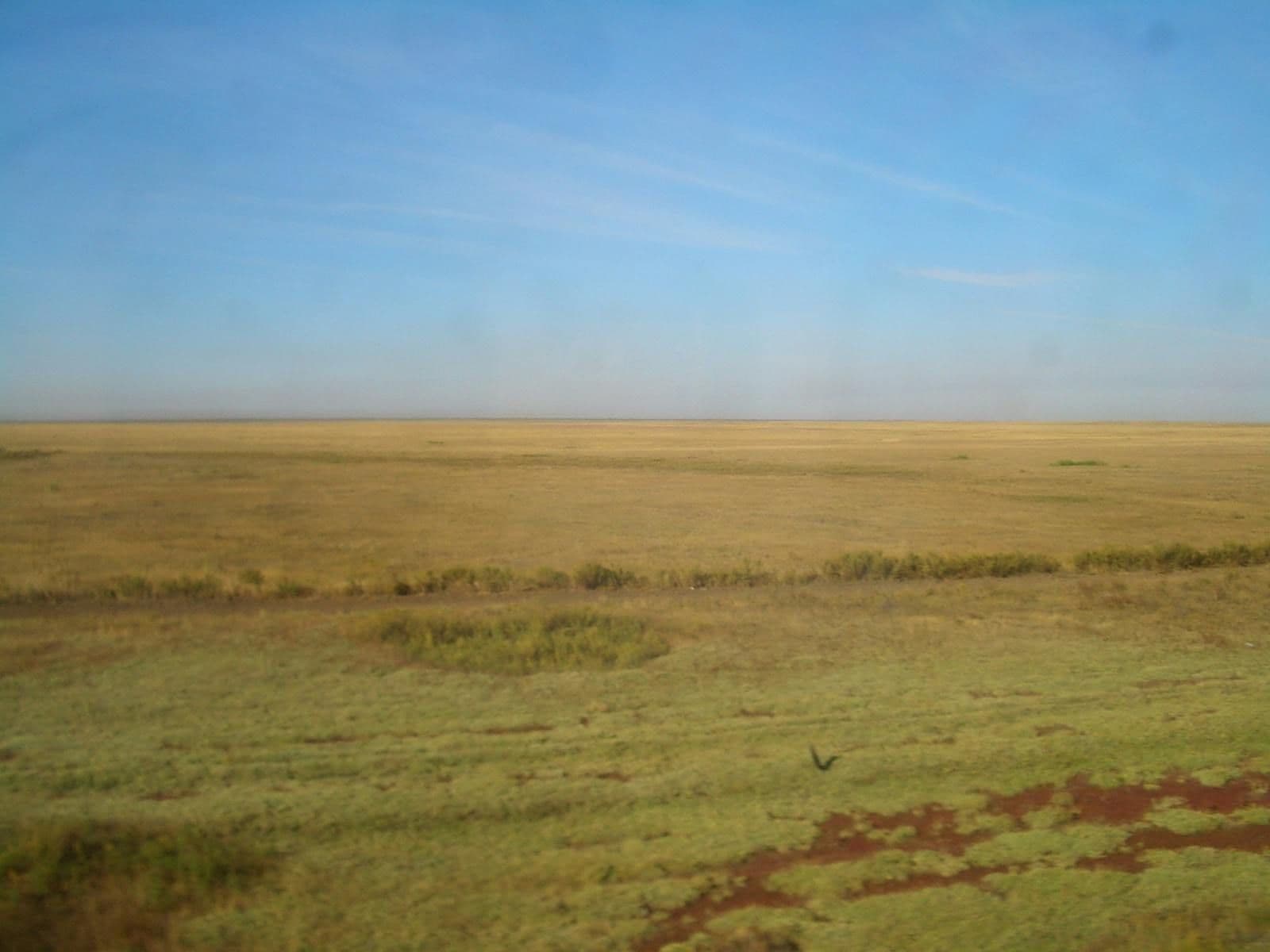 Wide flat Kazakh steppe landscape with dry grassland, low shrubs, and a clear blue sky stretching to the horizon.