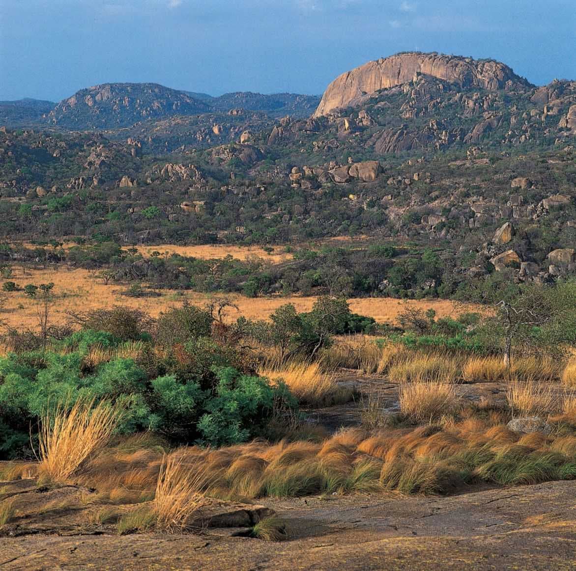 Marondera District, Zimbabwe: What to Eat