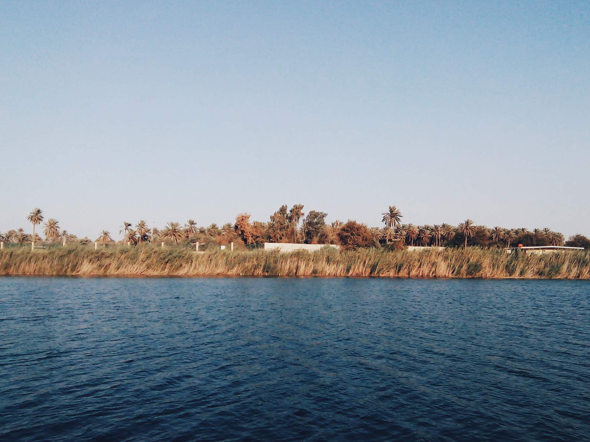 Wide river view with reed-lined bank, palm trees, and low buildings under a clear sky near Al ‘Amārah.