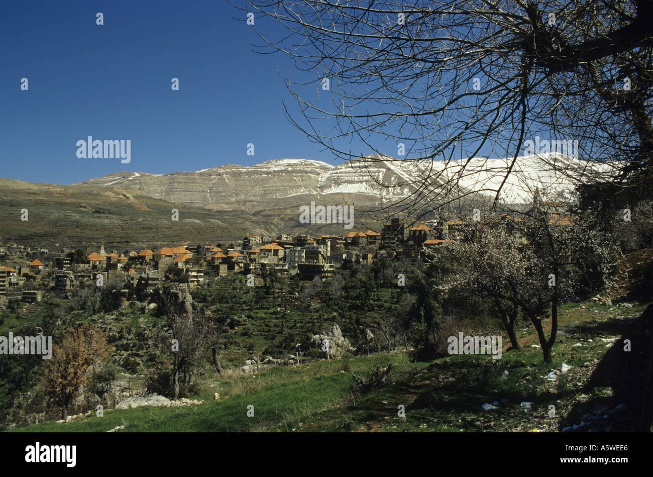Spring landscape of Caza de Aakkar, Lebanon showing green mountains, cedar forests, and stone villages