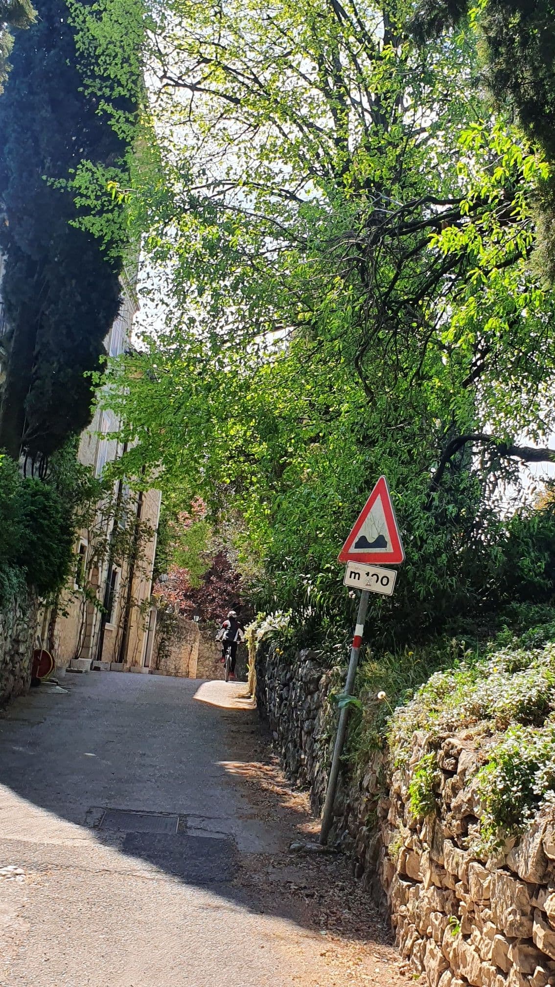 A sunlit, narrow paved road winds through the Arbizzano hills, flanked by stone walls and lush green trees, with a cyclist visible in the distance.