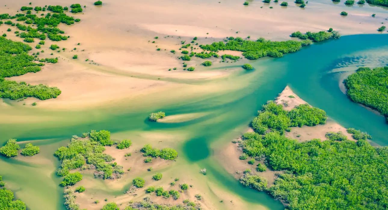 Aerial panorama of Oussouye coastline in Senegal, displaying sandy beaches, green vegetation, and the Atlantic Ocean
