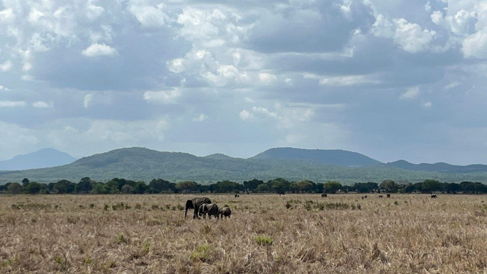Biharamulo, Tanzania: The Anti-Theme Park