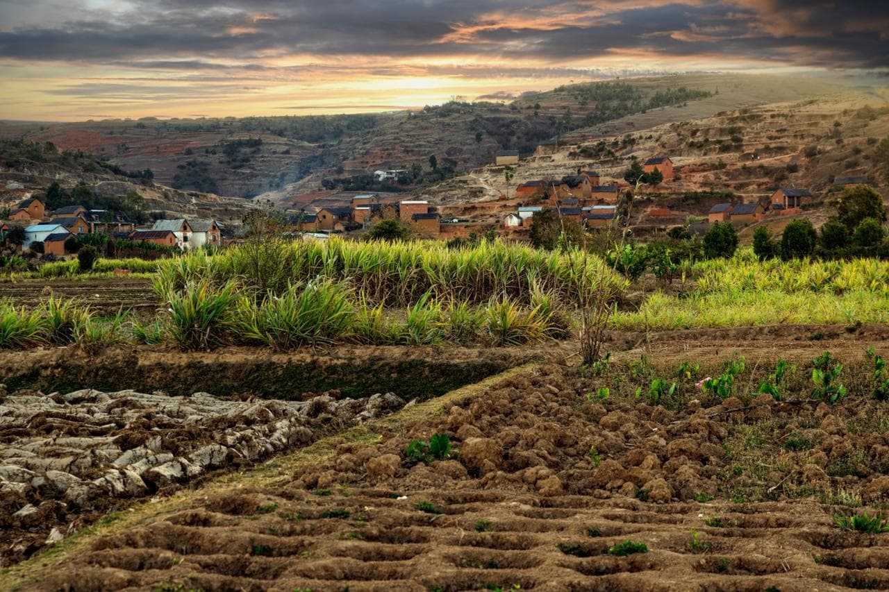 Cultivated agricultural fields with tall crops and tilled earth in the foreground, overlooking a rural village on rolling hills under a dramatic sunset sky.