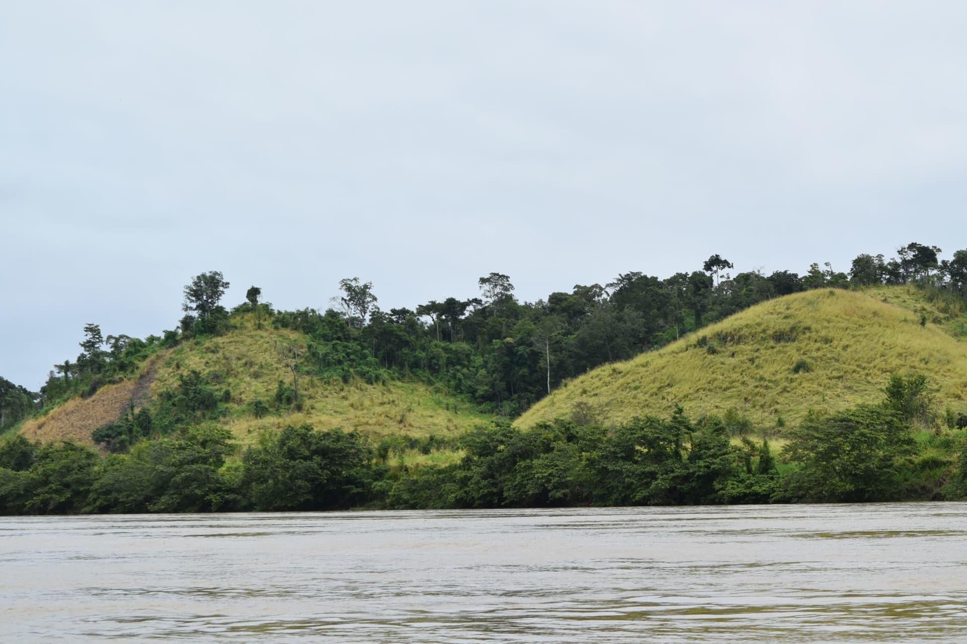 Riverbank landscape with grassy hills, scattered trees, and dense vegetation under an overcast sky