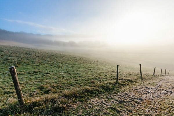 Misty morning light diffuses over a grassy central plateau, with wooden fence posts lining a path in the Dubreuil area, Mauritius.