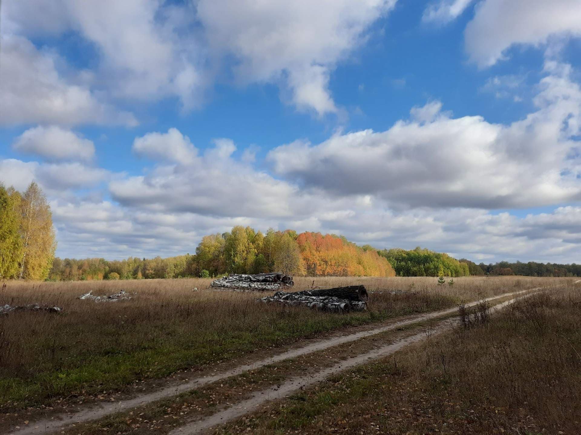 Dirt road through autumn grassland with fallen birch logs and colorful trees under a cloudy blue sky, typical of rural roads around Tonshalovo.