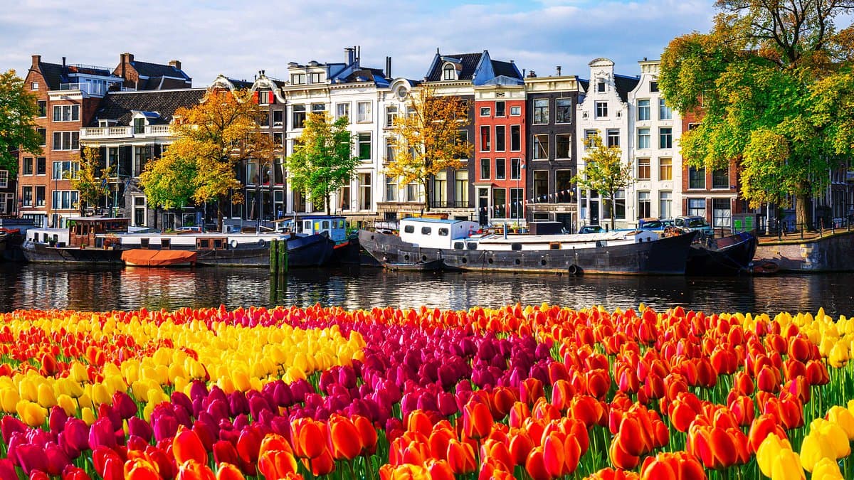 Netherlands spring travel tulips canals bloom photo