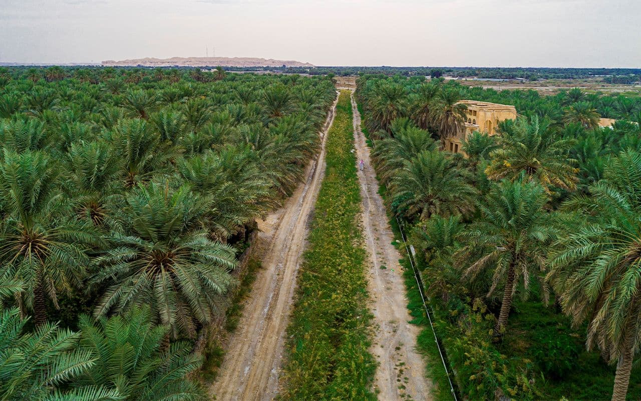 Kid-Friendly Stays in Al Jafr, Saudi Arabia