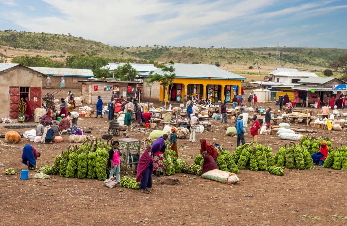 Open-air village market with banana bunches, sacks, and vendors in colorful clothing; simple buildings and hills in background in rural Tanzania.