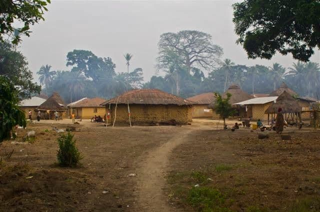 Rural village in the Bo region of Sierra Leone showing thatched-roof huts, dirt paths, and scattered trees under an overcast sky.