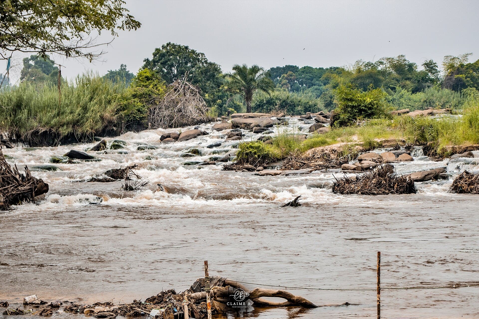 Paysage fleuve Congo.jpg